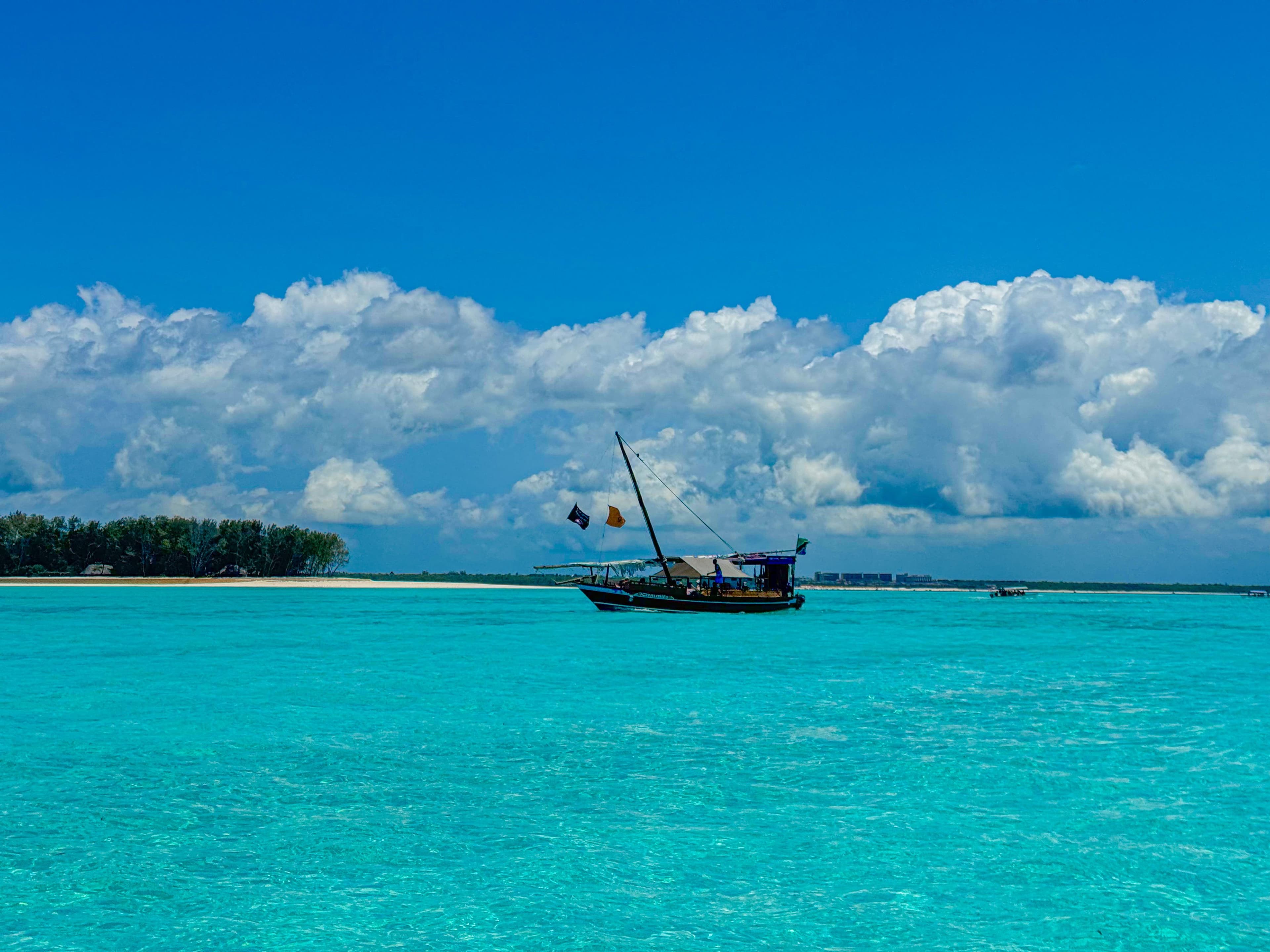 TOUR SAFARI BLUE — image 2