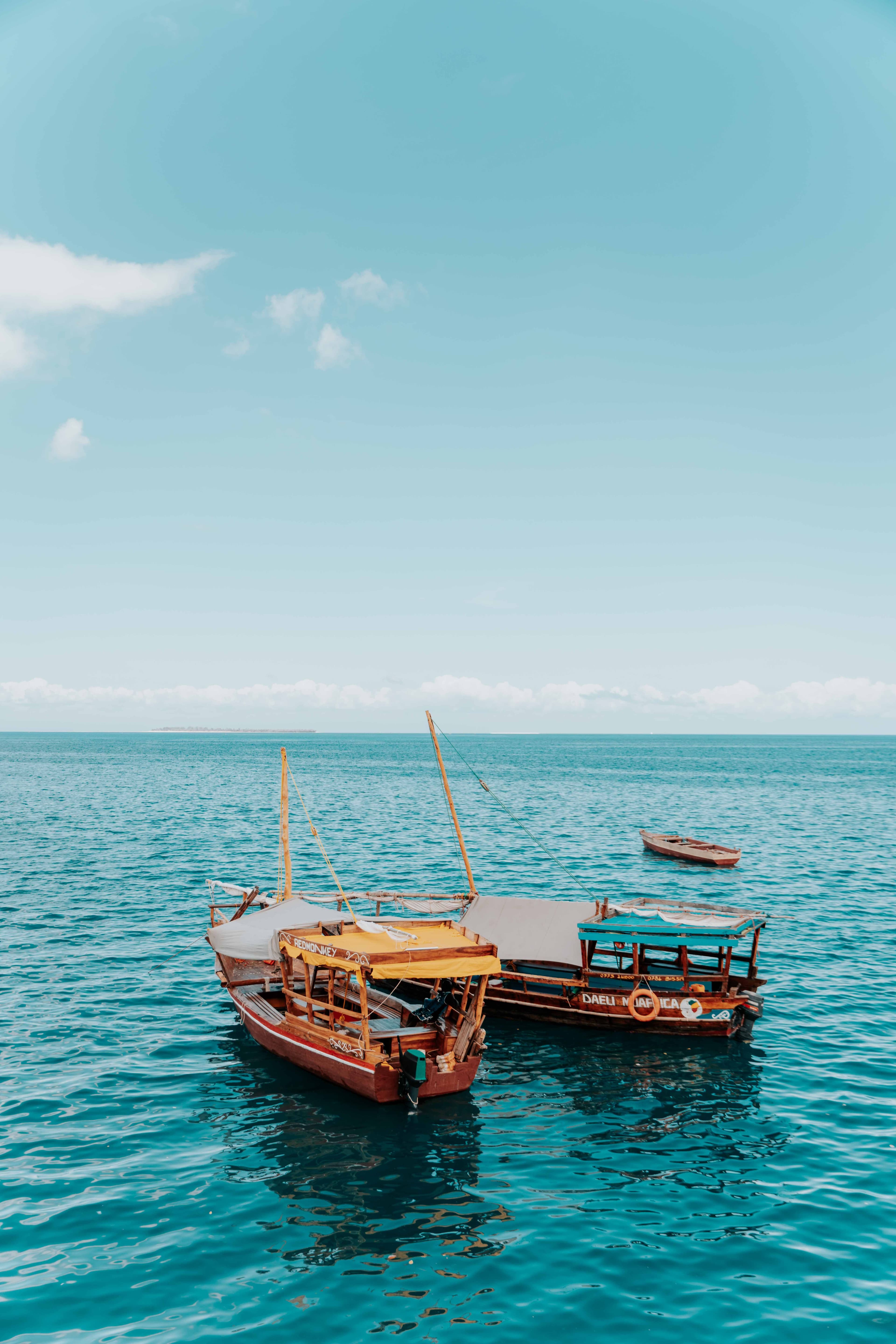 TOUR SAFARI BLUE — image 3