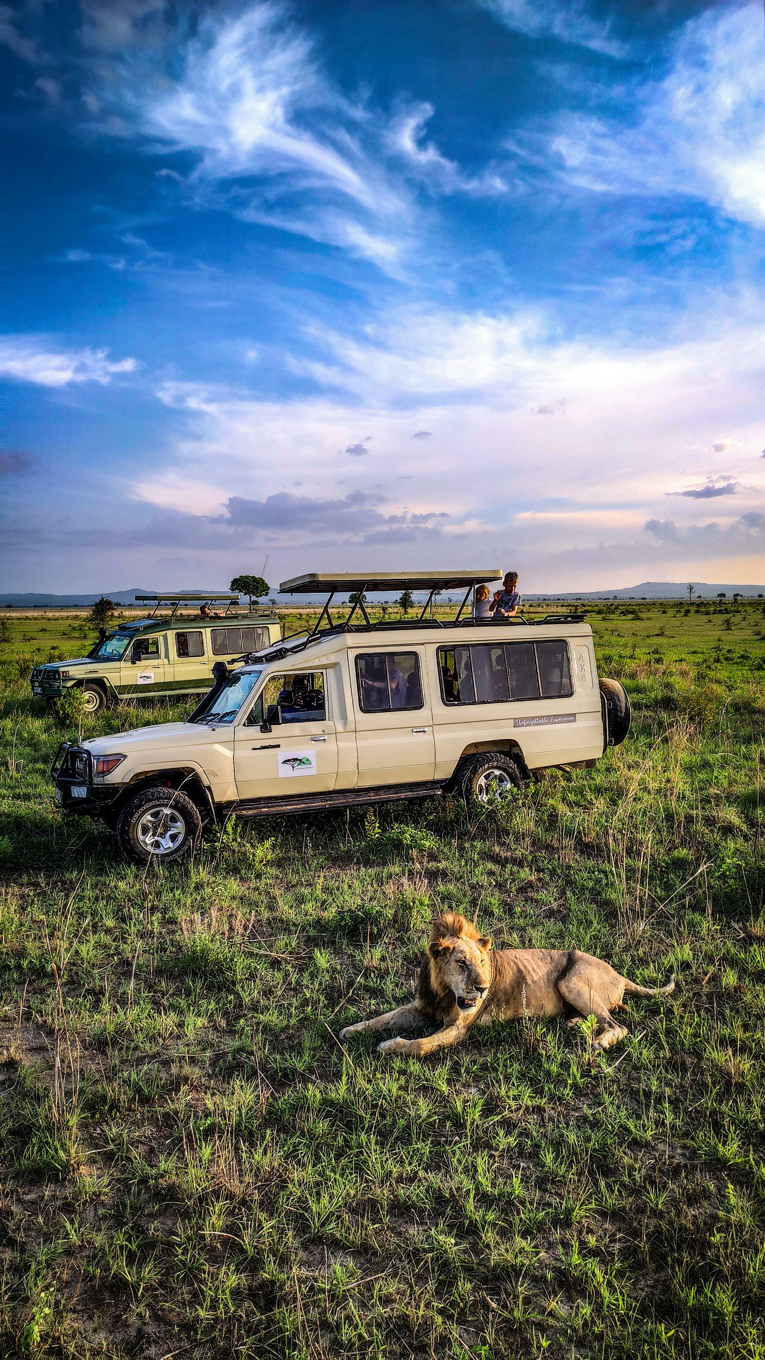 SAFARI IN TANZANIA at Royal Mandarin Hotel & Resort — gallery image 3