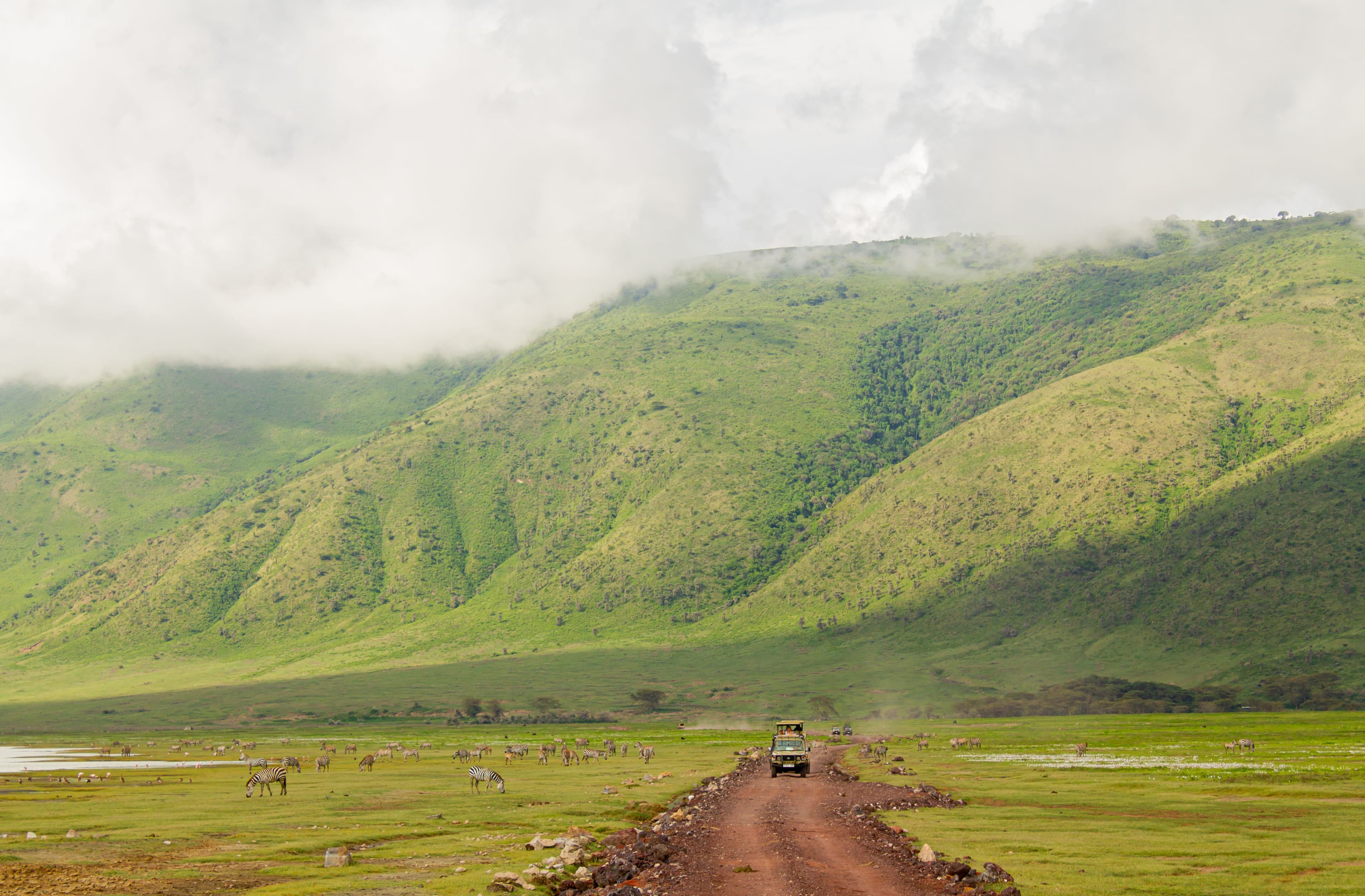 SAFARI IN TANZANIA at Royal Mandarin Hotel & Resort — gallery image 5